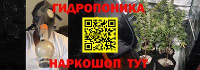 хмурый Новодвинск