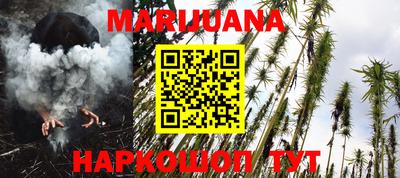 гашик Новозыбков