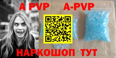 гашик Новозыбков